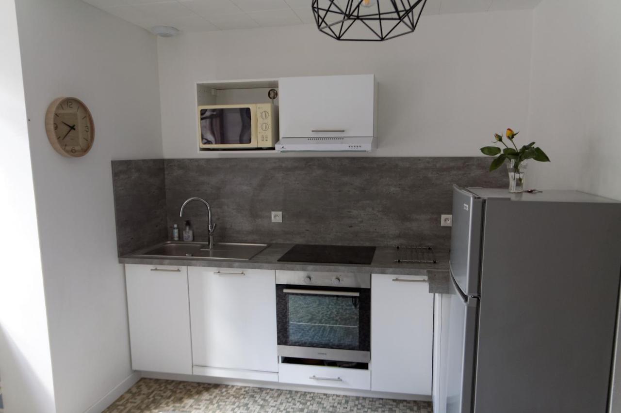 Villa Jean Julien - Le Sancy - Appartement T3 - 65M2 - 8 Personnes Le Mont-Dore Exterior foto